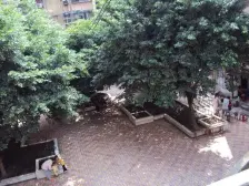 康乐花园 2室1厅 东