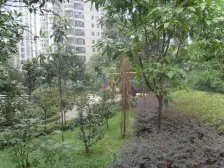 云岭天城 2室1厅 西