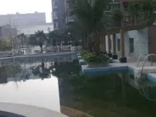 石桥铺 南方花园C1区一房43.5万