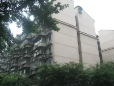 枇杷山正街 3室1厅 南