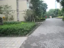 房子正规的4房 户型好 采光好