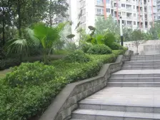 石桥铺正规300米,正规两室,中间楼层