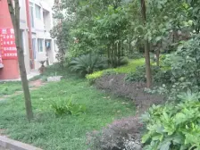 科城花园B区 3室2厅 南