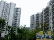 房子住家安静户型方正,出行方便,住家舒适