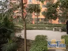 大坪 康翔花园二房65万