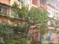 大坪 康翔花园一房44万