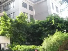 沙坪坝147平精装3房 楼下环线轻轨站 朝南 高层