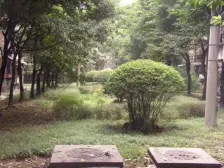 大堰二村 4室2厅 南