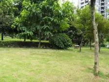 洋河片区 洋河大厦四房180万