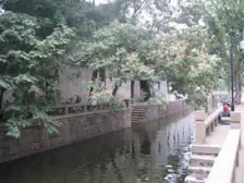 草桥振华 离医院近 采光好 配套齐全