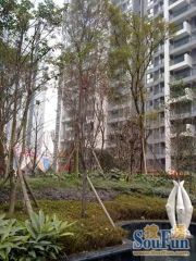 锦城名都3室1厅西南