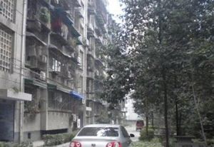 虹波苑3室2厅南