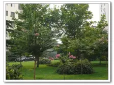 龙头寺 五童路后勤基地三房90万