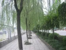 高新区 南方花园C2区三房60万