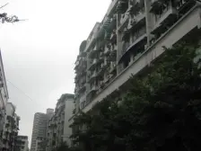 科园二街 南方花园C2区,正规一房,看房方便