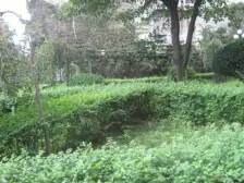 住家装修,电梯房,位置好,出行便捷,居家安静