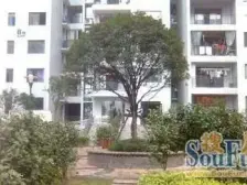 区近轻轨公交交通便利 户型方正 视野无遮挡采光好