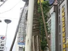 凤天路 筑梦庭二房85万