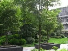 凤天路 筑梦庭一房60万