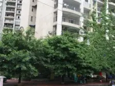 凤天路 筑梦庭一房