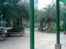 步行街精装修户型方正,采光好,带阳台,可拎包入住