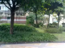 精装修带全部家电家具,顶楼跃层,采光好,带屋顶花园