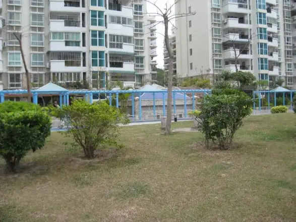 电测村