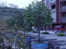 近轻轨正规一室一厅户型方正出行方便