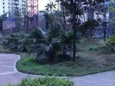 八公里轻轨公交出行便捷 住家精装可拎包入住