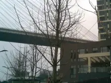 轻轨房 装修三房 中间楼层 视野好 安静