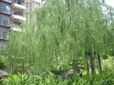 和旭QQ时代 2室1厅 东