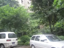 石桥铺 白马凼小两房电梯 业主安心卖 看房方便