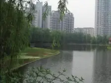18号线轻轨3房 有电梯 洋房 随时看房