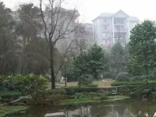 李家沱 巨星花园四房61万