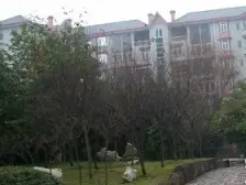 聚星花园 有电梯 近轻轨 拎包入住