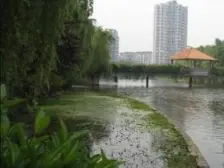 李家沱 巨星花园三房48万