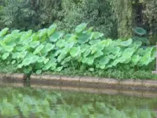 李家沱 巨星花园三房