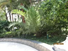 精装楼梯房,小区环境好,生活便利,拎包入住