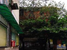 云山花园 三室两厅 带两层楼的空中花园