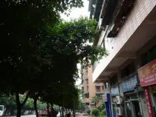 简装3室1卫,户型方正采光好。