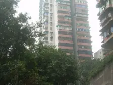 临华路 2室1厅 东南