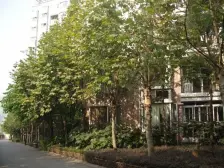 石马河成熟小区顶楼带露台精装四房诚心出售