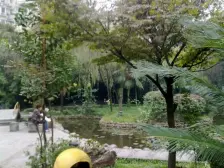 大渡口步行街200米, 轻轨站步50米到达, 正规3房