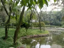 园丁小区 3室2厅 东南