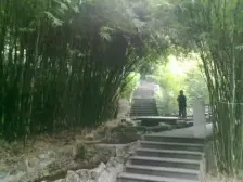 大渡口公园轻轨旁精装三房 领包入住 性价比高