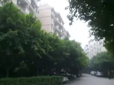 园丁小区 3室1厅 南