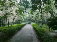 园丁小区 2室1厅 南