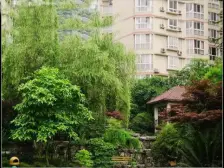 区府 园丁小区三房63.8万