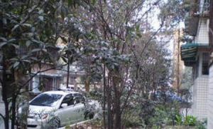 金琴路南三巷3号2室1厅南北