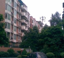 新龙苑西区3室2厅东南